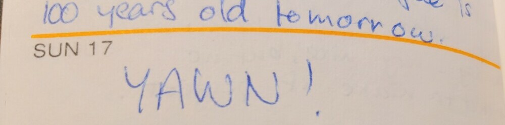 My diary entry for Sunday 17 April 1988. Short and to the point, I am sure you will agree.